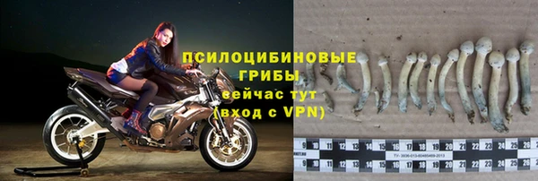 apvp Навашино