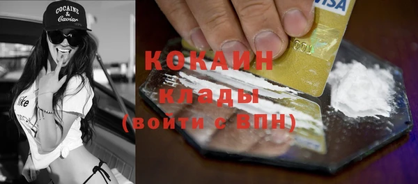 прущие грибы Наволоки