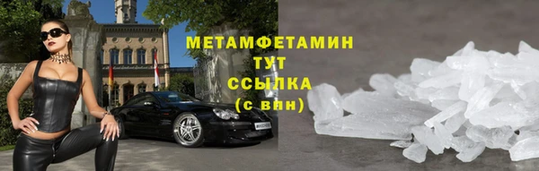 прущие грибы Наволоки