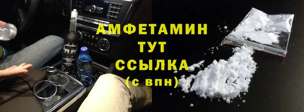прущие грибы Наволоки