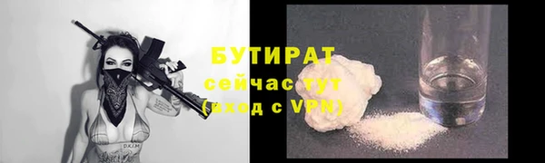 прущие грибы Наволоки