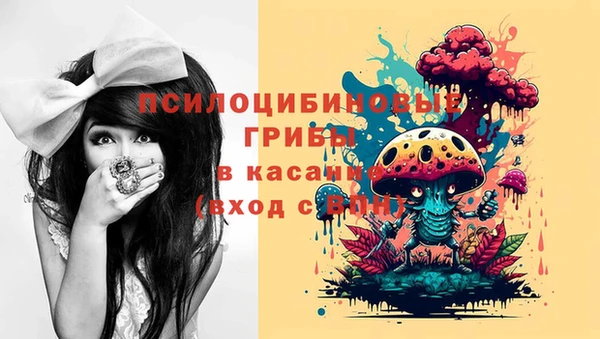 прущие грибы Наволоки