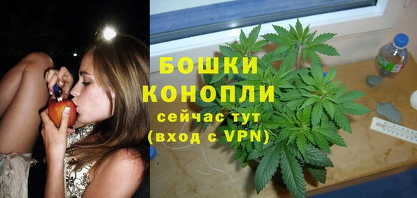 прущие грибы Наволоки