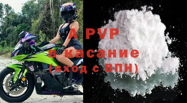 прущие грибы Наволоки
